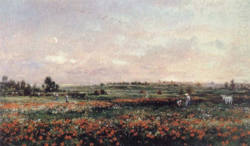 Poppy Field, Charles Francois Daubigny